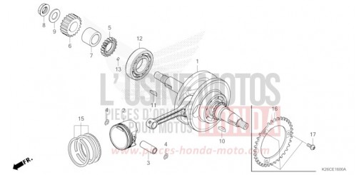 VILEBREQUIN/PISTON MSX125AR de 2024